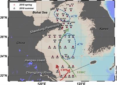 Nitrate Regeneration and Loss in the Central Yellow Sea Bottom Water Revealed by Nitrogen Isotopes